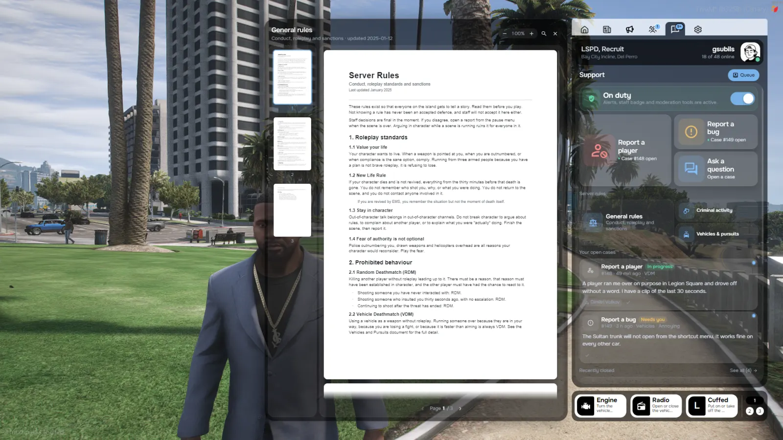 PDF server rules reader alongside the support queue in JGS Pause Menu